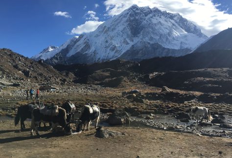 Everest base camp con Pampa trek (5)