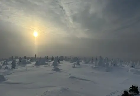 salla lapponia finlandese con Pampa Trek (1)