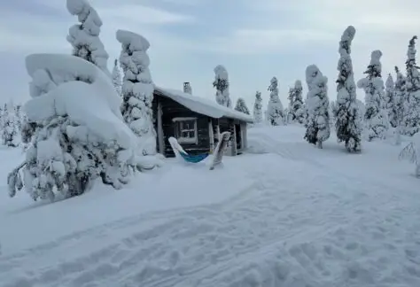 salla lapponia finlandese con Pampa Trek (2)