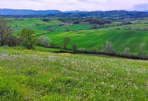 la via degli dei con Pampa Trek (15)