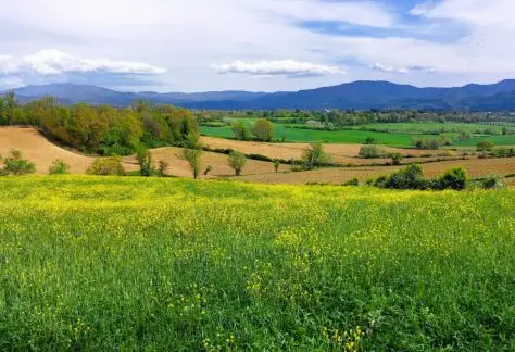 la via degli dei con Pampa Trek (17)