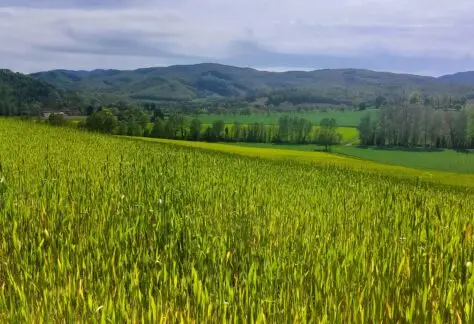 la via degli dei con Pampa Trek (19)