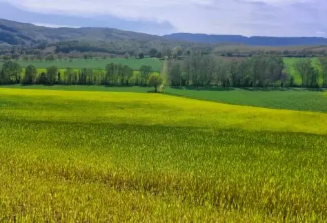 la via degli dei con Pampa Trek (20)