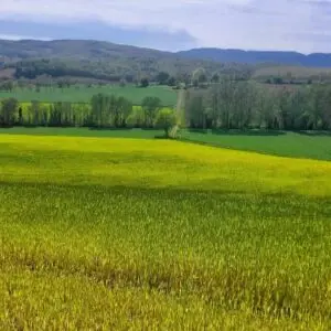 Prato lungo la via degli dei