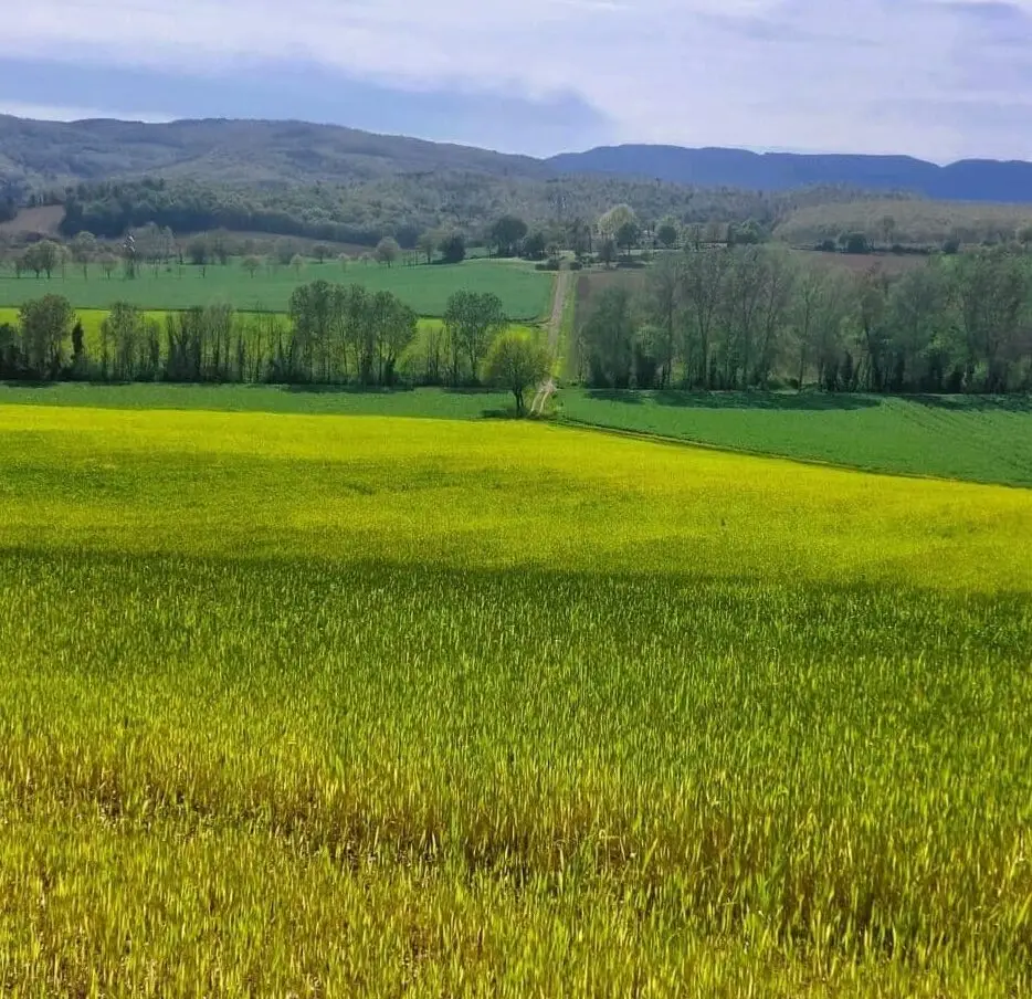 Prato lungo la via degli dei